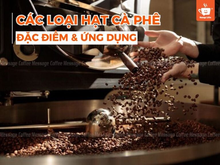 Các Loại Hạt Cafe – Đặc Điểm Và Ứng Dụng Trong Pha Chế