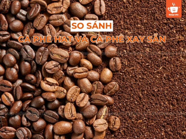 So sánh cà phê hạt và cà phê xay sẵn: Đâu là lựa chọn tối ưu cho bạn?